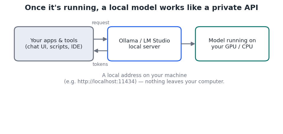 Figure 2 — A running local model behaves like a private API on your own machine.